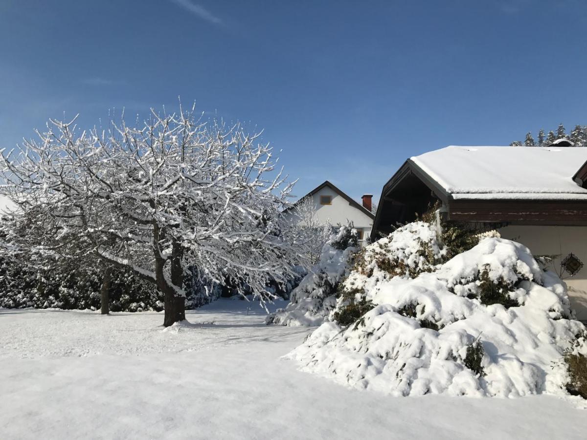 V Gemuetliches Gartenhaus Smihel nad Pliberkom Exterior photo